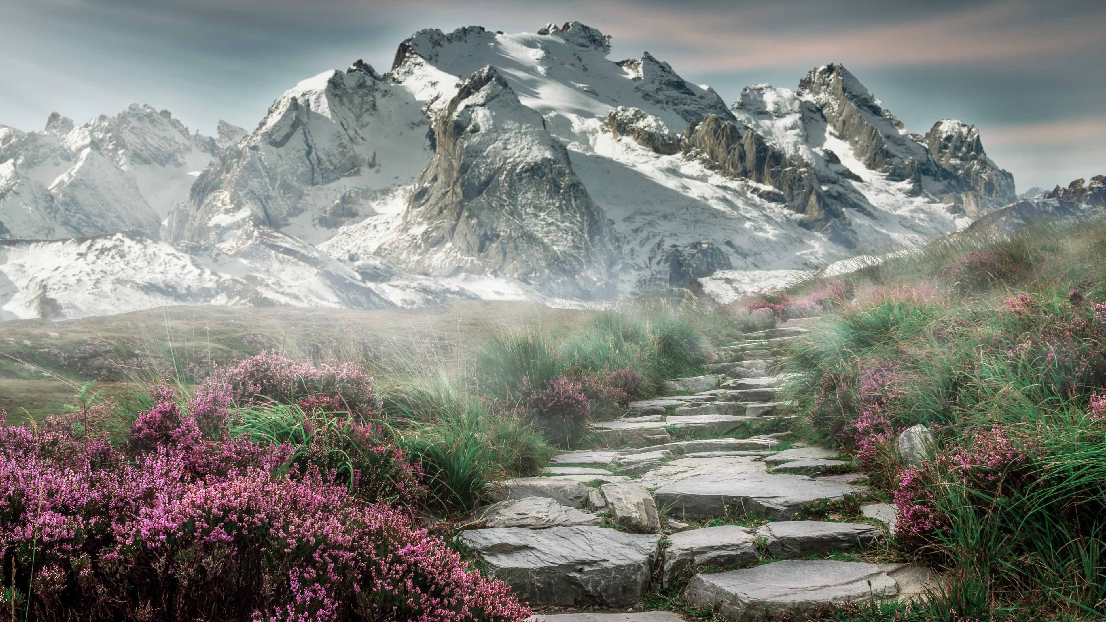 v7.2.5 更新正式上线，2026年4月28日，开启智能协同新纪元